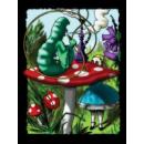 Alice in wonderland Fleece